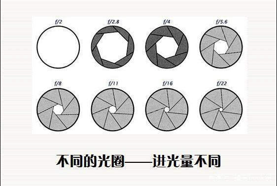 7dd98d1001e93901b789c4c38c3b27e134d196a6.jpeg