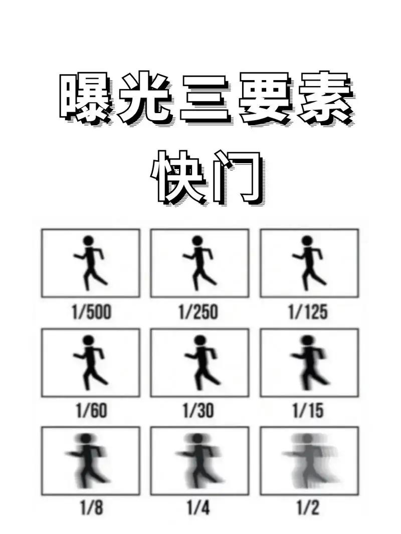 8522464.jpg