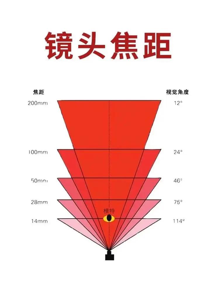 6548921.jpg